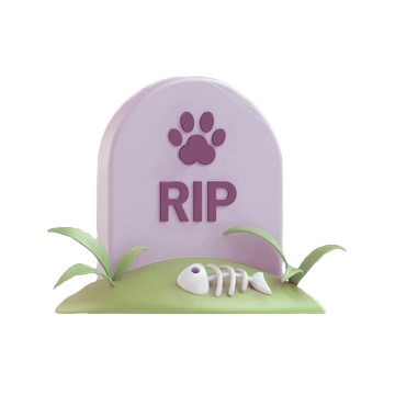 Playlist comming soon